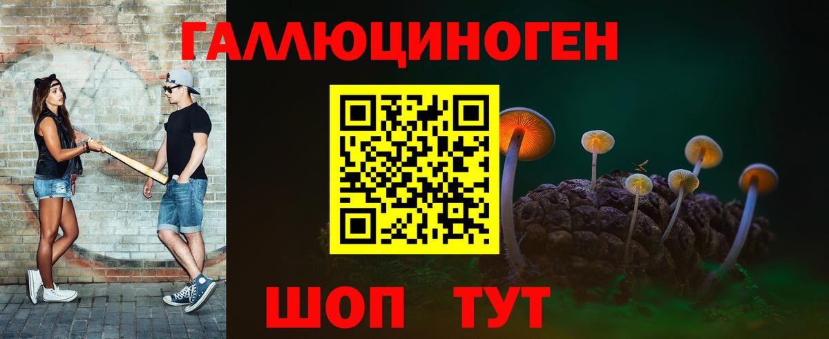 Псилоцибиновые грибы Psilocybe Семилуки